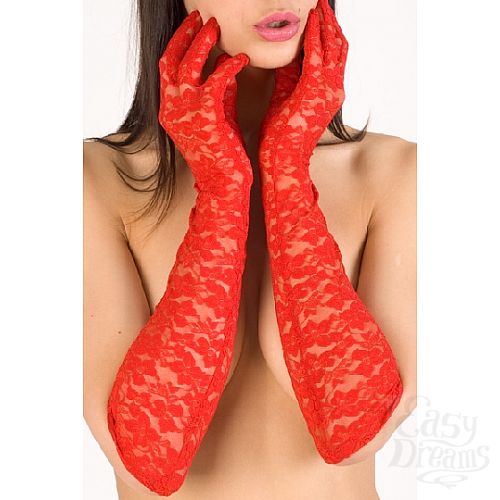 ���������� 2  �������� ��������� ������� (Erolanta 9319051)