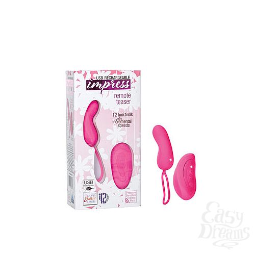 ���������� 1:  ������������� IMPRESS Remote Teaser �������������� �������