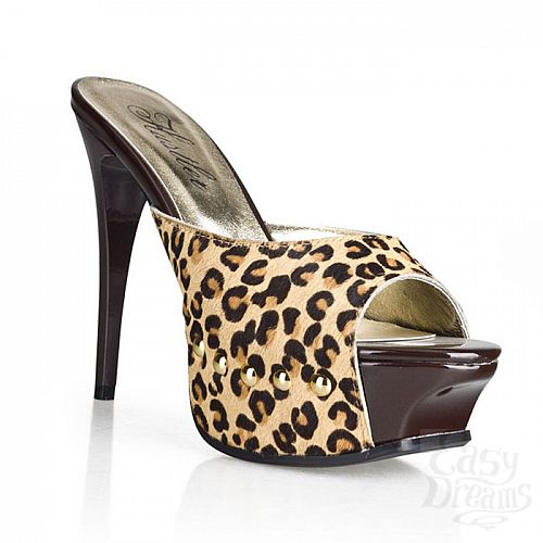 ���������� 1:  ���� �� ������ ������ Wild Jauguar