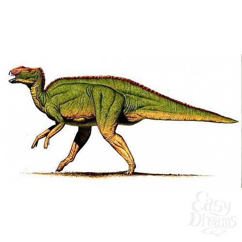 ���������� 3  �������������  ���������� Krito  - 33 ��. 