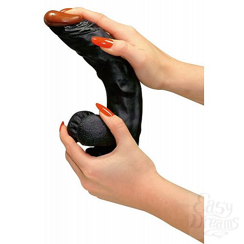 ���������� 2  ���������� ������������ �� �������� ReactionDong - 22 ��.