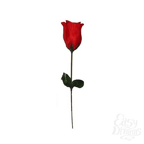 ���������� 1:  ������� � ������� ���� EIS101-RED