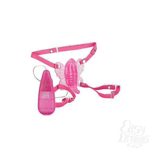  2    Original Venus Butterfly  