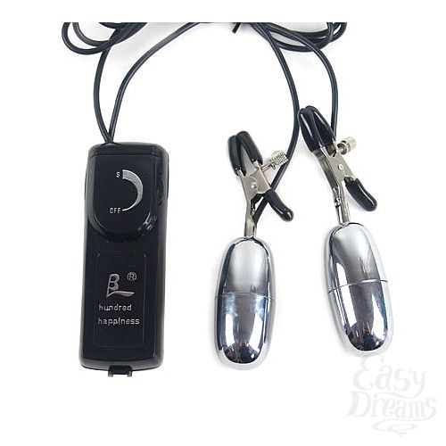 ���������� 1:  ��������������� ��� ����� BI-010060