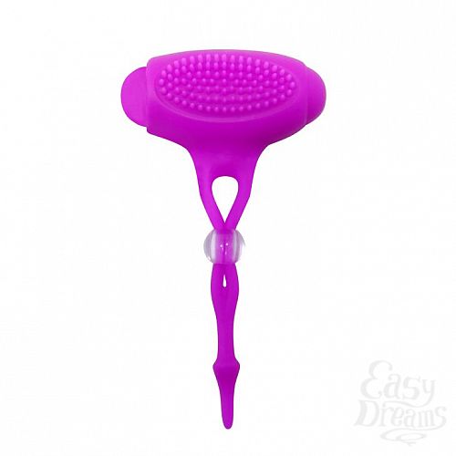 ���������� 1:  ���������� ���������������� ��� ����� Bancroft 