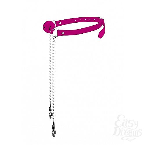  1:       OUCH Pink SH-OU151PNK