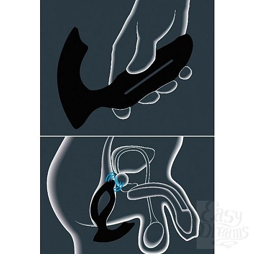 ���������� 2  ���������� �������� JoyDivision Xpander X2 Size L