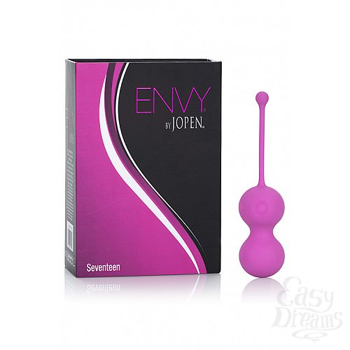 ���������� 1:  ����������� ������ Envy Seventeen