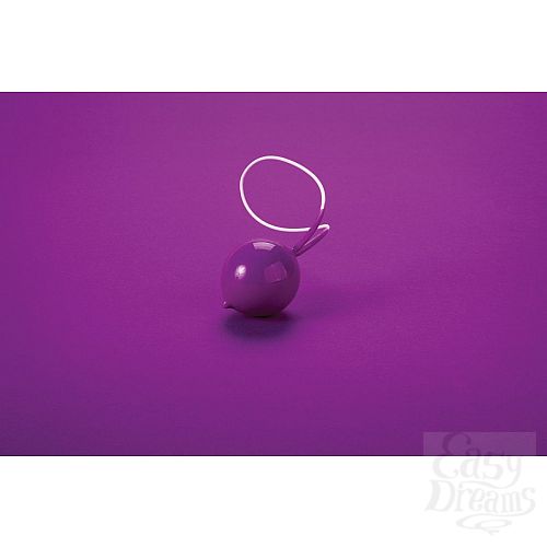 ���������� 3  ���������� ����������� ����� Geisha Super Purple 