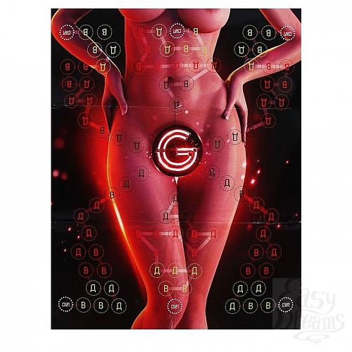  2       G 