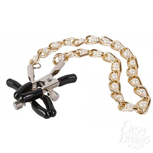 ���������� 1:  ������ �� ����� � ���������� ����� � ������ ���������