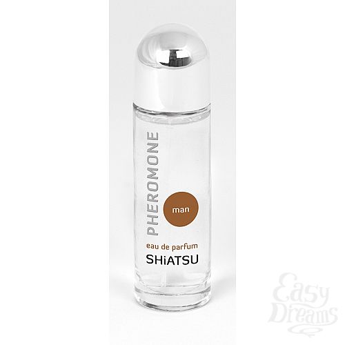 ���������� 1:  ���� � ����������, ��� ������ - Shiatsu, 25 �� 