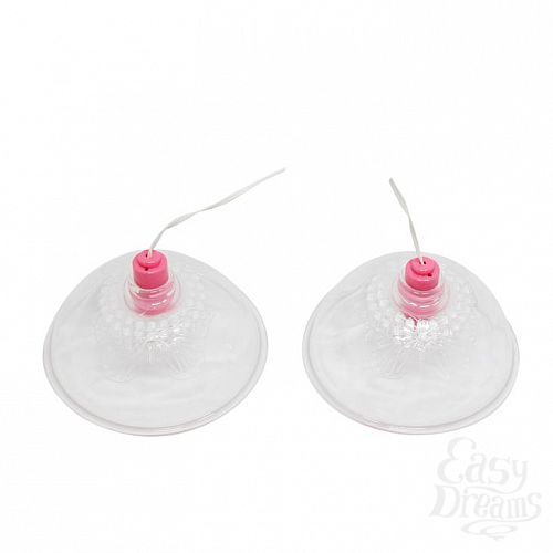 ���������� 2  ������������� ��� ����� MOMO II