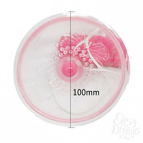 ���������� 4  ������������� ��� ����� MOMO II