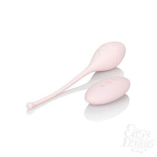 ���������� 4  ������������� INSPIRE VIB RMT KEGEL EXERCISR