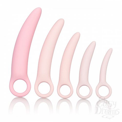 ���������� 1:  ����� �� 5 ��������������� ������� ������� Sili Dilator 5 P