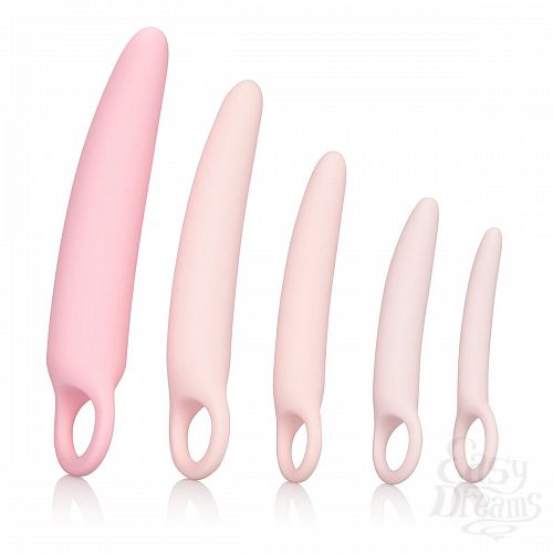 ���������� 2  ����� �� 5 ��������������� ������� ������� Sili Dilator 5 P