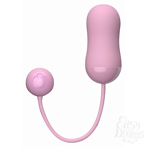 ���������� 1:  ��������� Bibi Remote Egg - Toy Joy 