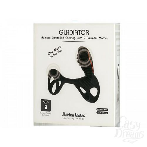  1:  ׸   Gladiator       