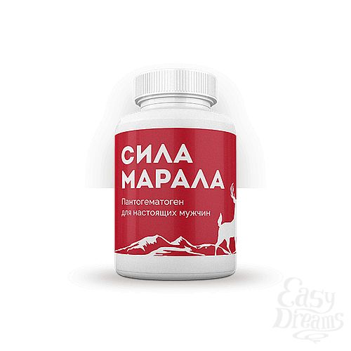 ���������� 1:  ���������� ����� ���� ������ 80499