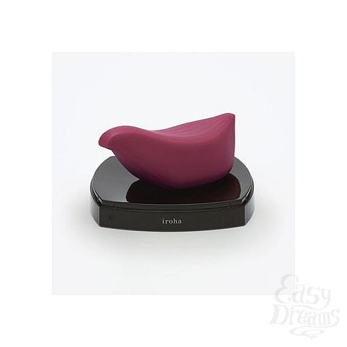  2   - Tori - Iroha+ by Tenga  