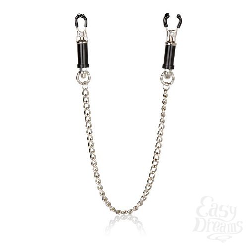  1:     Nipple Play Superior Nipple Clamps