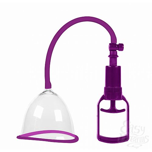 ���������� 1:  ��������� ����� ��� ����� Sculptor ������ L 6910-02Lola, ����������