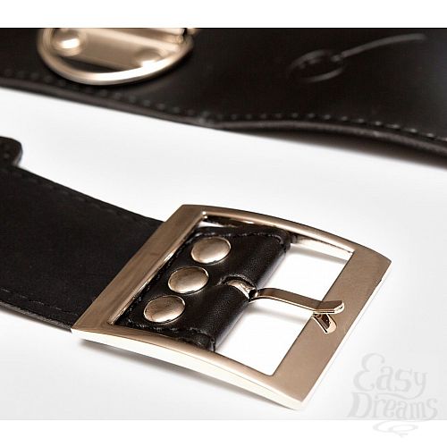 ���������� 3  �������� ����: ���������, ����������� � ��������