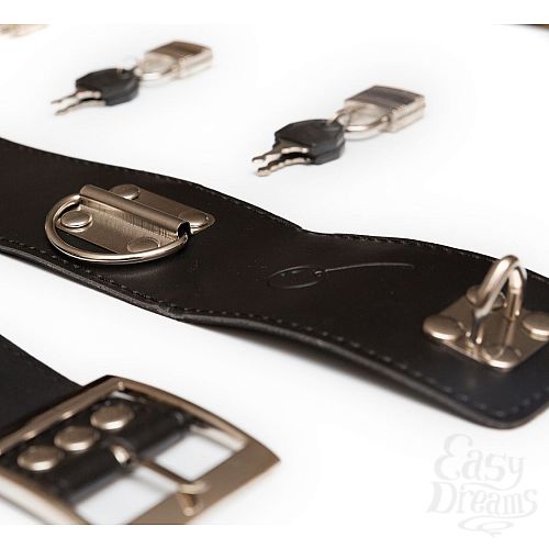 ���������� 6  �������� ����: ���������, ����������� � ��������