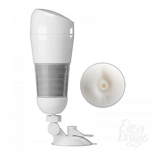  2  -   Hedy BM-00900T49-1