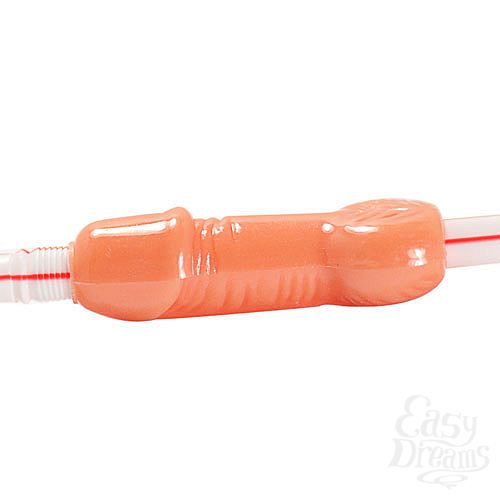 ���������� 2  ��������-������, 6 ��. 