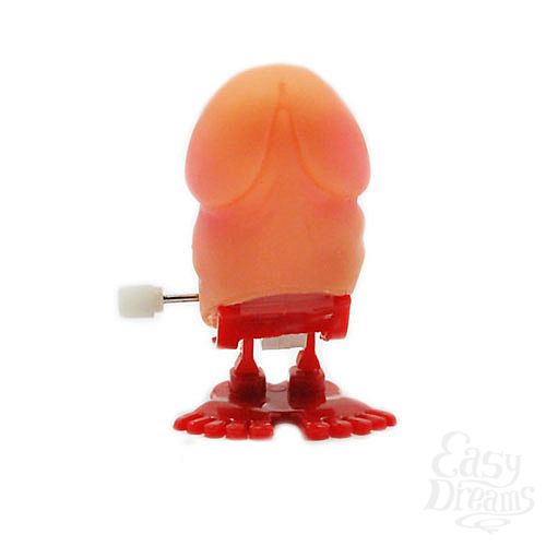 ���������� 2  �������� �������-�����  