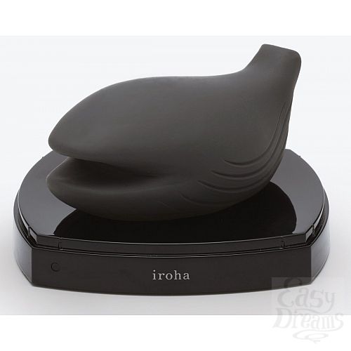 ���������� 2  ������������� � ���� ������� IROHA YORU 