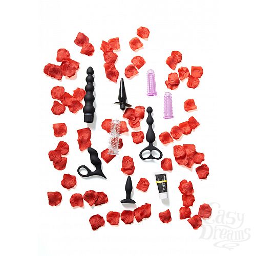 ���������� 1:  ����� �������� ������� ��� �������� Anal Starter Kit 