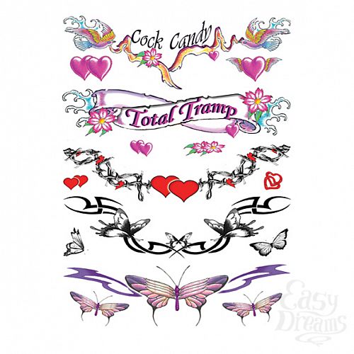 ���������� 1:  ���� ����� - Sexy Lower Back - 40 �� 