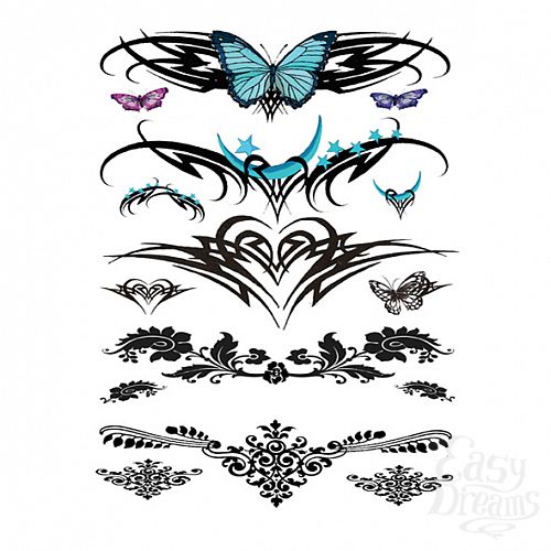 ���������� 2  ���� ����� - Sexy Lower Back - 40 �� 