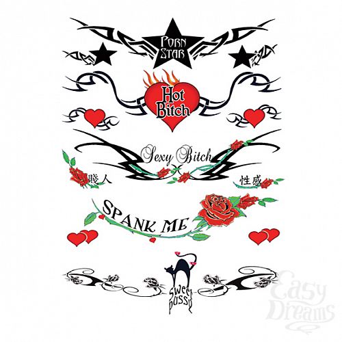 ���������� 3  ���� ����� - Sexy Lower Back - 40 �� 