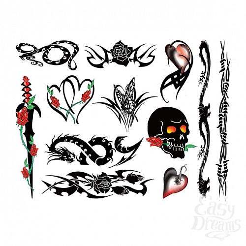 ���������� 3  ����� ���� - Punk Bitch, 40 �� 