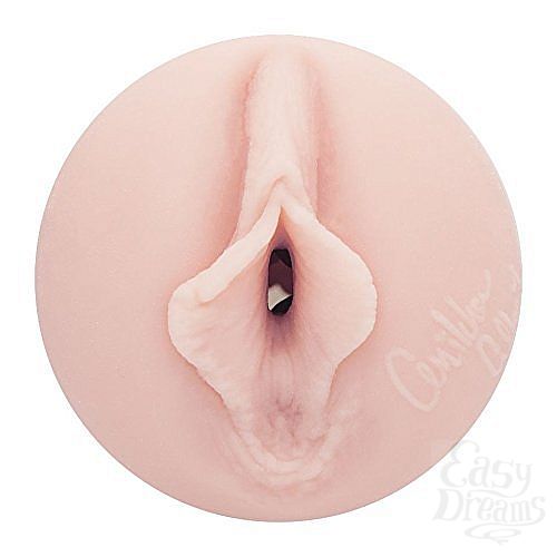  2   Fleshlight Girls - Anikka Albrite Lotus 
