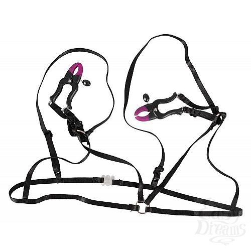  1:        Bra with silicone nipple clamps