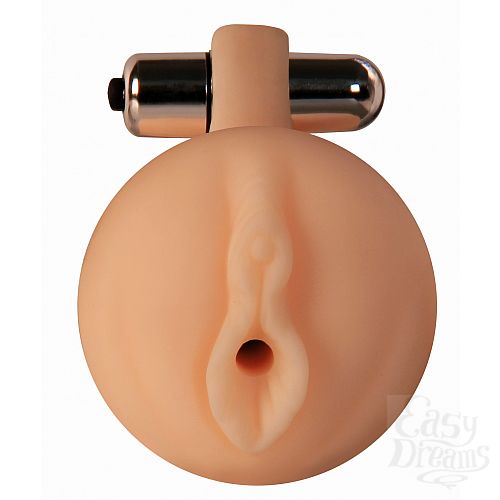  1:       Discovery Vibro 6905-02Lola