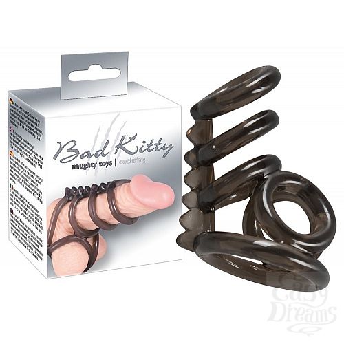  1:          Penis Hodenring
