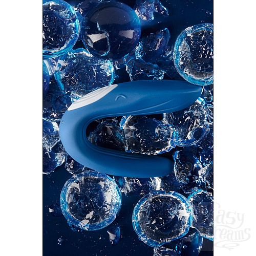  8      Partner Whale
