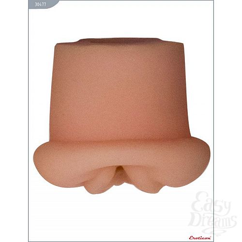 ���������� 1:  ����������� ��� ������� ���� Eroticon � ���� ������