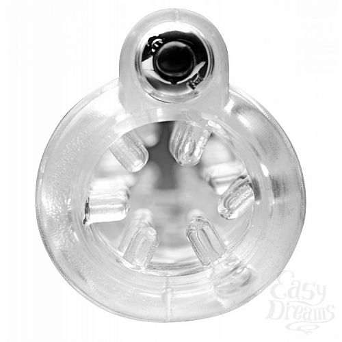  2    Tom of Finland Head to Head Vibrating , 