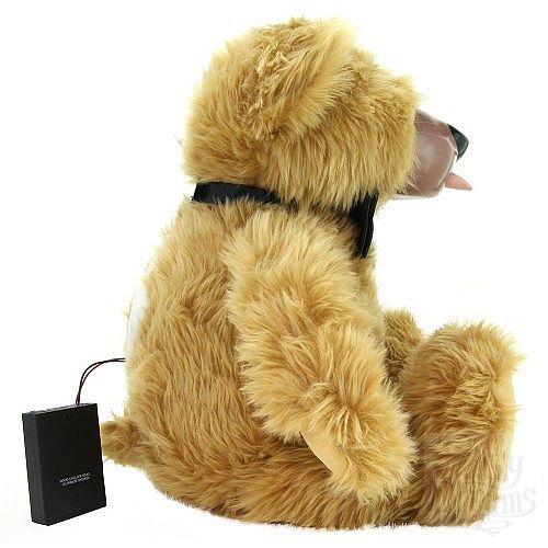  2       Teddy Love 51  