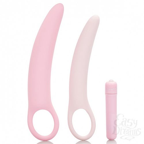 ���������� 1:  ����� ���������� Inspire - Vibrating Dilator Kit, 16,5 ��. 