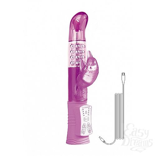 ���������� 3  �������� Dolphin, 22.5 �� 