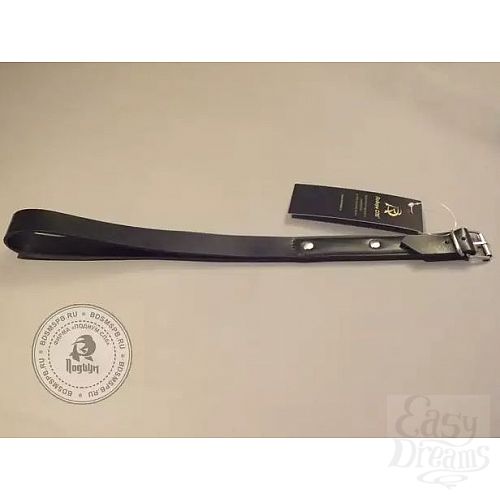 ���������� 3  ׸���� �������  ����� ������ 