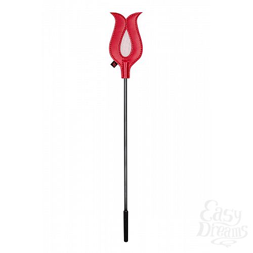 ���������� 1:  ������� ������ � �������� � ������